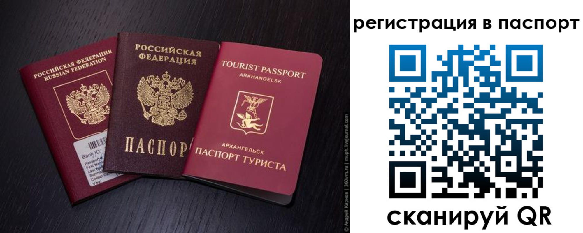 прописка в квартире в Владимирской области